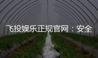 飞投娱乐正规官网：安全可靠的在线娱乐平台首选