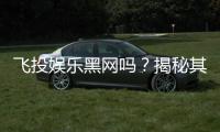 飞投娱乐黑网吗？揭秘其安全性及玩家真实体验