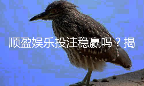 顺盈娱乐投注稳赢吗？揭秘高胜率玩家的实战策略与风险控制