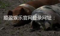 顺盈娱乐官网登录网址：畅享棋牌电游的顶级娱乐平台