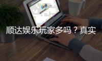 顺达娱乐玩家多吗？真实用户数据与平台人气解析