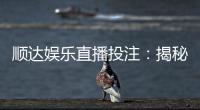顺达娱乐直播投注：揭秘高胜率玩家的实战技巧与策略