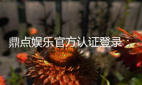 鼎点娱乐官方认证登录：安全便捷的一站式游戏平台入口