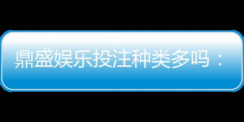 鼎盛娱乐投注种类多吗：探寻不同玩法的魅力