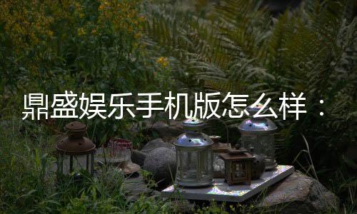 鼎盛娱乐手机版怎么样：游戏体验一流
