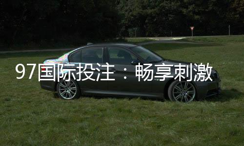 97国际投注：畅享刺激电子游艺乐趣