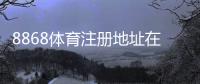 8868体育注册地址在哪里？新手快速注册流程图文教学与注意事项