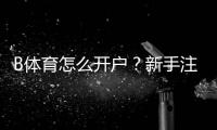 B体育怎么开户？新手注册流程图文教程与常见问题解答