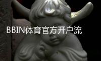 BBIN体育官方开户流程详解：新手注册步骤、身份验证与安全注意事项