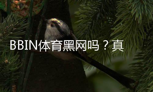 BBIN体育黑网吗？真相调查与平台信誉风险全解析