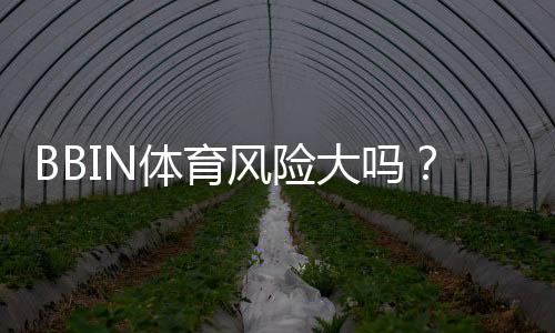 BBIN体育风险大吗？平台安全、常见风险与防范攻略一文看懂