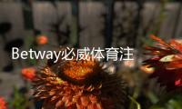 Betway必威体育注册地址在哪？新手快速注册教程与安全注意事项