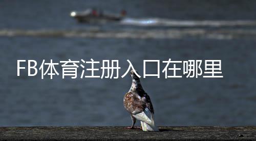 FB体育注册入口在哪里？官方注册流程图文教程与常见问题解答