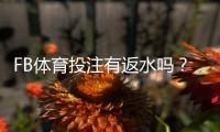 FB体育投注有返水吗？最新返水规则、比例与领取攻略