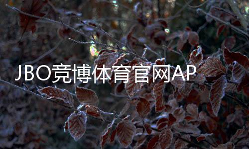 JBO竞博体育官网APP下载与使用全攻略:新手安装注册、充值提现及安全指南