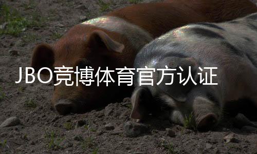 JBO竞博体育官方认证登录怎么操作？官网入口、认证步骤与安全登录全攻略