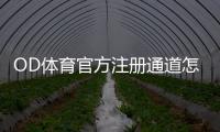 OD体育官方注册通道怎么进？完整注册流程、新手图文教程与常见问题解答