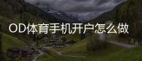 OD体育手机开户怎么做？新手快速注册步骤与安全注意事项详解