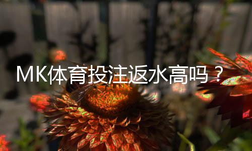MK体育投注返水高吗？资深玩家揭秘高返水攻略与实战技巧