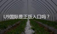 U9国际是正版入口吗？真伪鉴别、风险提示与安全登录指南