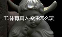 T1体育真人投注怎么玩？新手入门规则与实用投注技巧详解