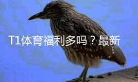 T1体育福利多吗？最新优惠盘点、真实评测与领取攻略