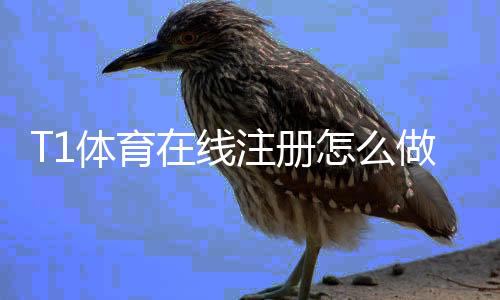 T1体育在线注册怎么做？新手开户流程、验证步骤与常见问题全解析