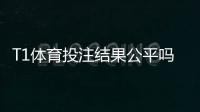 T1体育投注结果公平吗？平台公正性深度评测与辨别方法