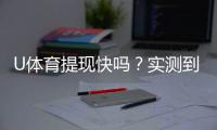 U体育提现快吗？实测到账速度与提现技巧分享