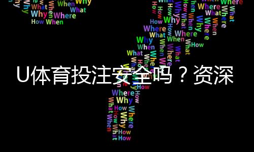 U体育投注安全吗？资深玩家解析平台可靠性与资金保障