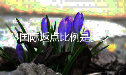 Y3国际返点比例是多少？最新返点率一览与计算方法