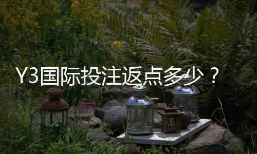 Y3国际投注返点多少？最新返点比例、计算方法与领取攻略