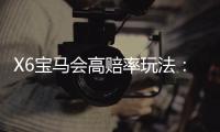 X6宝马会高赔率玩法:揭秘高回报电子游艺实战技巧