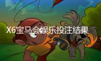 X6宝马会娱乐投注结果公平吗？深度解析平台公正性与玩家实测反馈