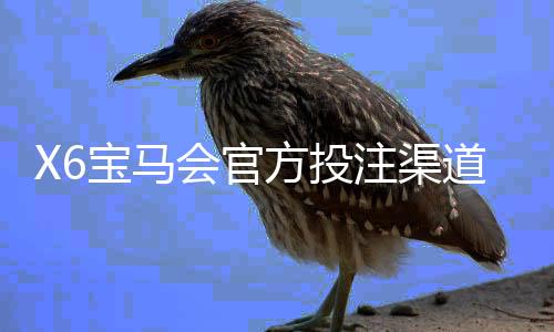 X6宝马会官方投注渠道：揭秘高胜率玩家的独家下注技巧