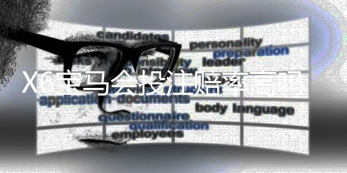 X6宝马会投注赔率高吗？资深玩家揭秘真实回报率