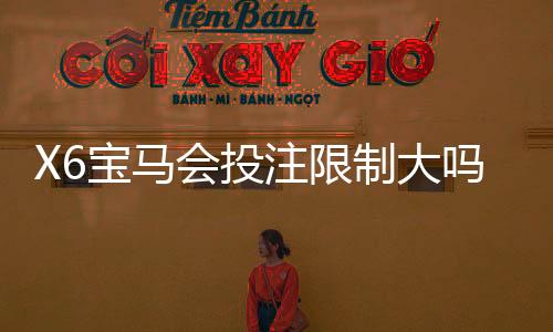 X6宝马会投注限制大吗？深度解析平台规则与下注技巧