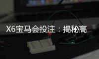 X6宝马会投注：揭秘高胜率玩家的实战技巧与策略