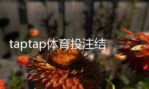 taptap体育投注结果公平吗?权威评测:算法、风控与投诉流程全解析