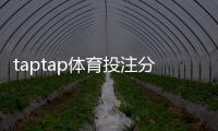 taptap体育投注分析靠谱吗？真实测评、用户口碑与风险防范全解析